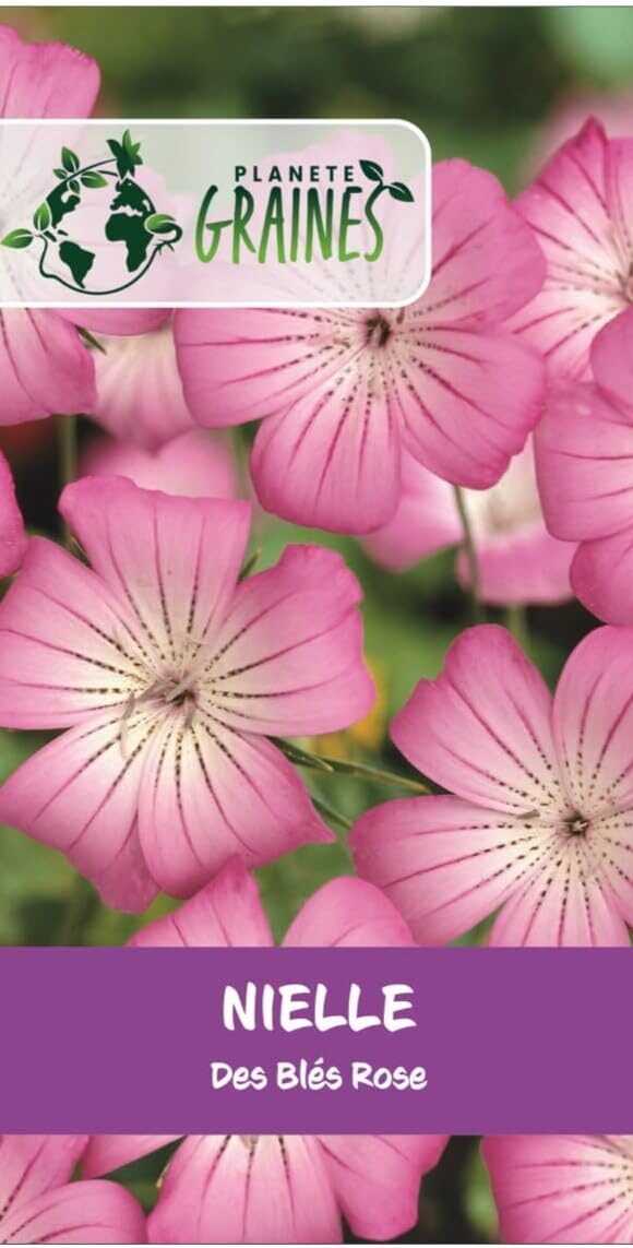 Nielle des Blés Rose